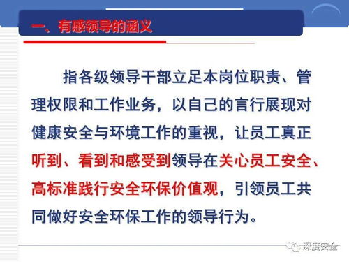 跨國(guó)公司的安全文化構(gòu)建與經(jīng)紀(jì)服務(wù)支持